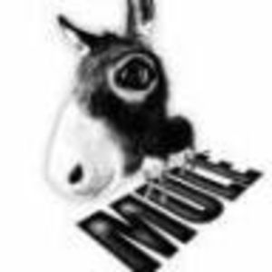 Meet your Posher, Lizzie